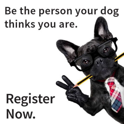 Be the person your dog thinks you are voter meme